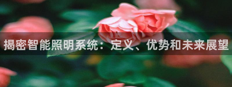 云顶国际服什么时候更新