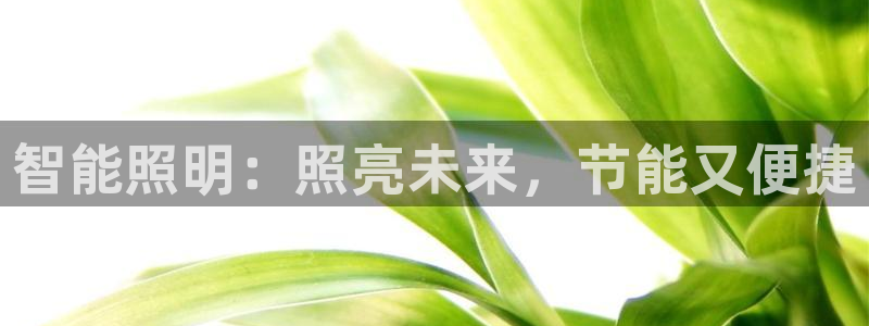 云顶国际百度百科下载