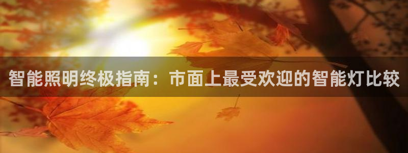 云顶国际官网登录