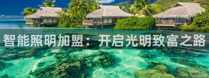 云顶集团app