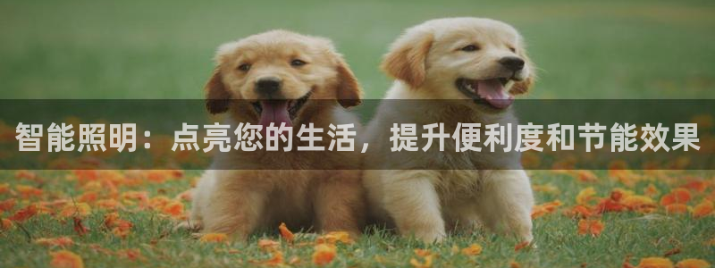 云顶集团创始人
