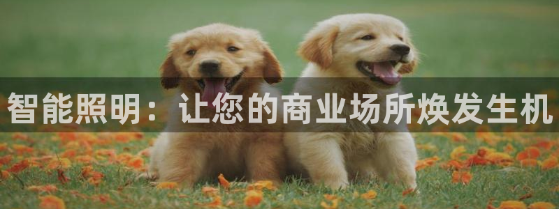 登录云顶集团app