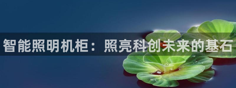 云顶国际电子注册平台官网