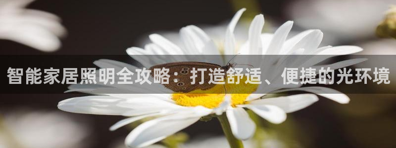 云顶国际酒店位置图