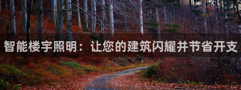 云顶手游国际版