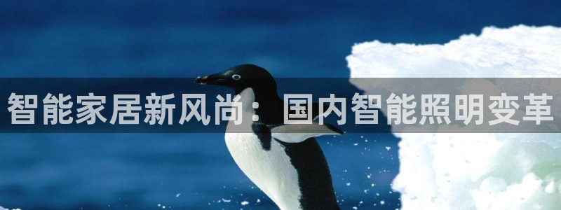 云顶国际8588yd