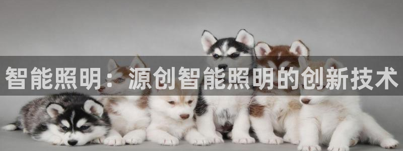 云顶国际服有中文吗
