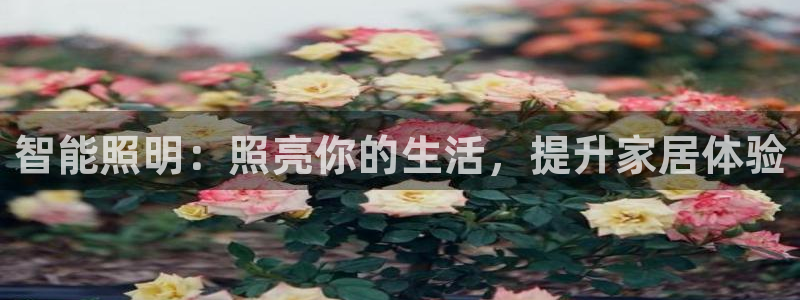 云顶国际宴会中心老板是谁