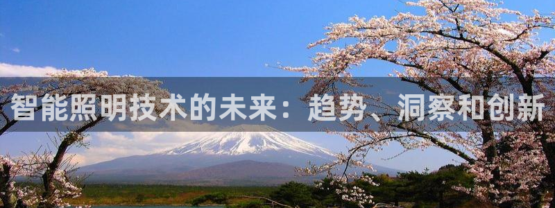 云顶国际app官方网站下载安装
