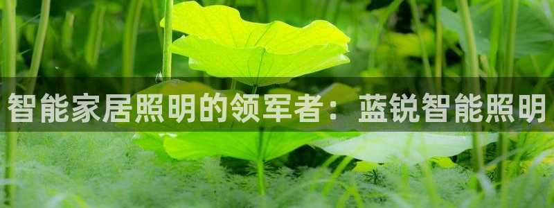 云顶集团有限公司