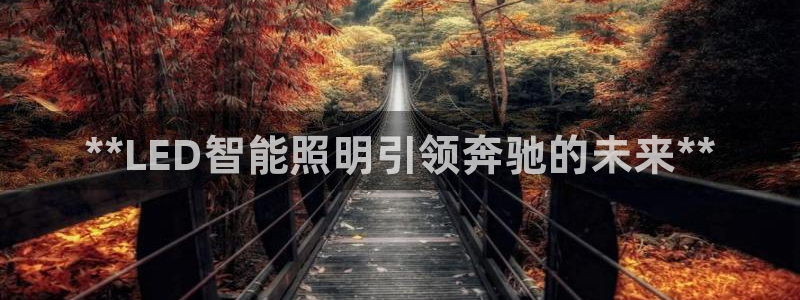 云顶集团公司 英文