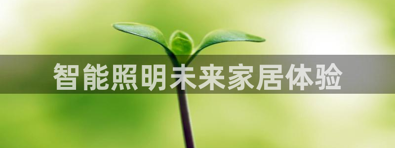 云顶国际ktv宁波