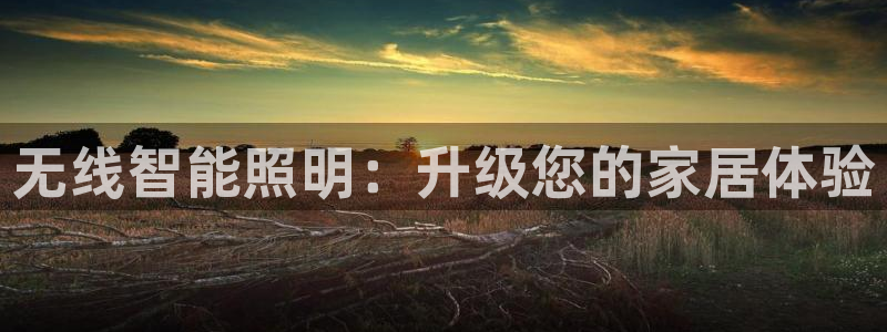 云顶国际公馆二手房