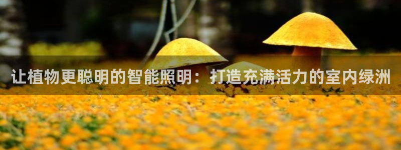 云顶国际邮轮公司