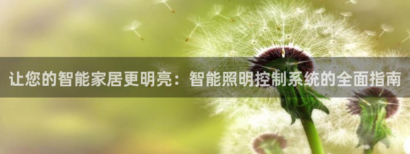 云顶国际服S9什么时候更新