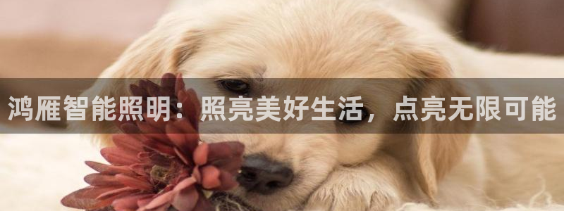 云顶8888