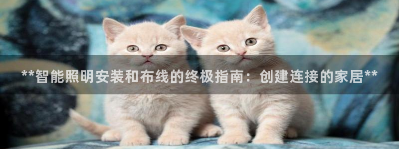 云顶国际网站2713366