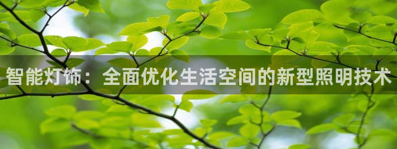 云顶国际二手房出售价格：智能灯饰：全面优