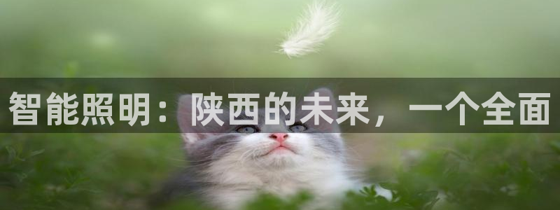 云顶国际俱乐部 淮北