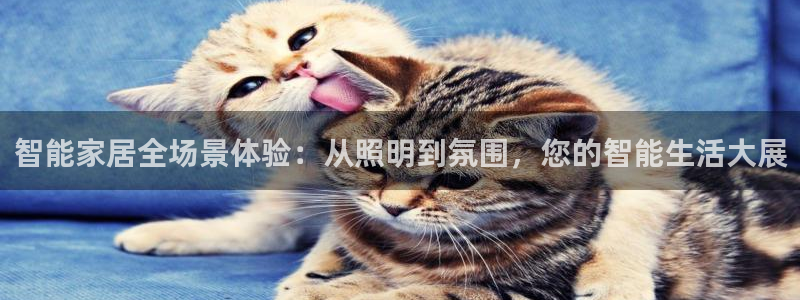 云顶国际是正规平台吗