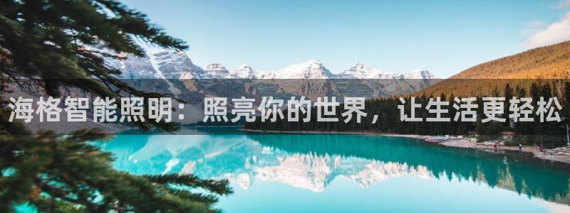 云顶电子游戏app