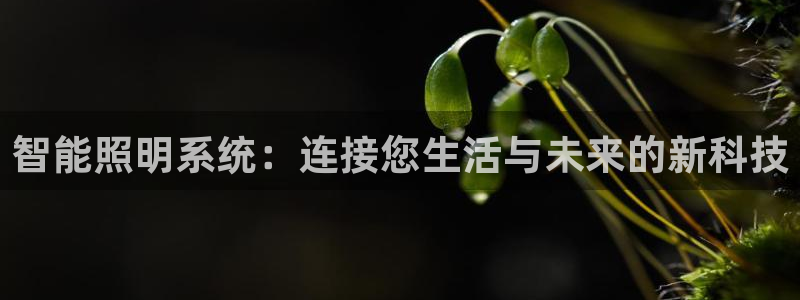 云顶国际百姓渔村最建议去吗