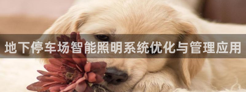 云顶国际平台违法吗?：地下停车场智能照明