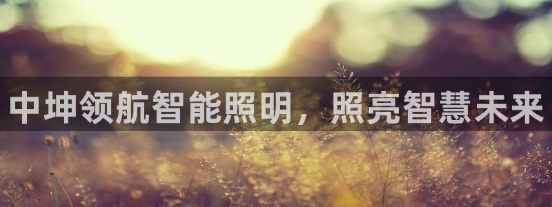 云顶国际大厦地址