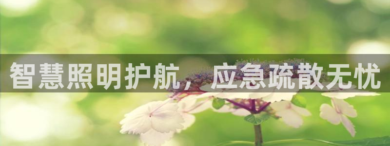 云顶国际麻将胡了几张牌