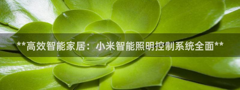 云顶国际服更新公告