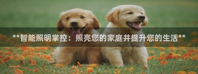 云顶国际提款不到账怎么办