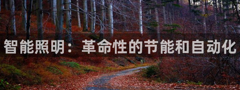 云顶国际app怎么样可靠吗