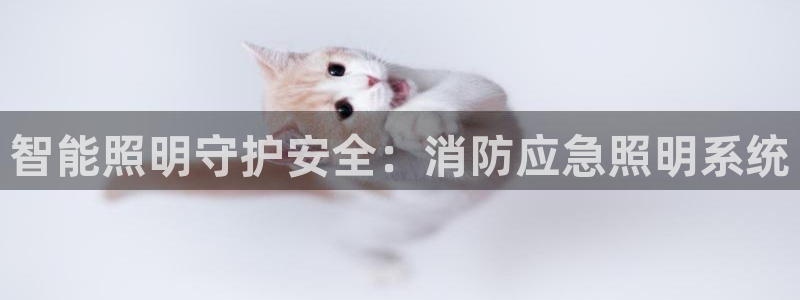 云顶国际晟荣协会