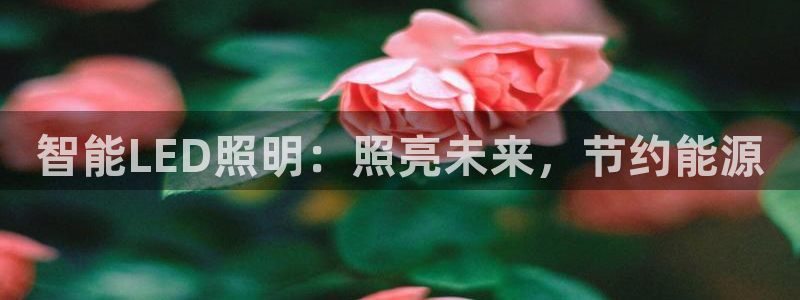 云顶国际服怎么登陆