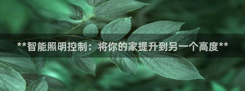云顶国际服什么时候更新s10的