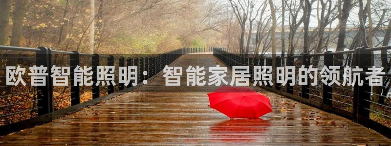 云顶国际酒店老板