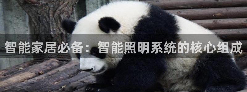 云顶国际商务会所电话