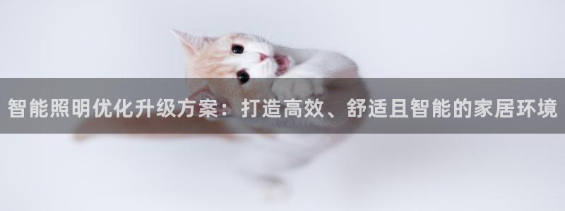 中国云顶控股集团