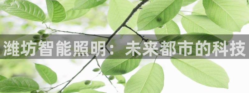 云顶国际服什么时候更新s119