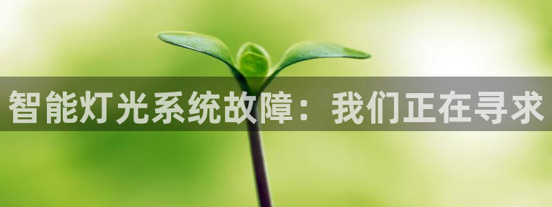 云顶国际物流官网网址