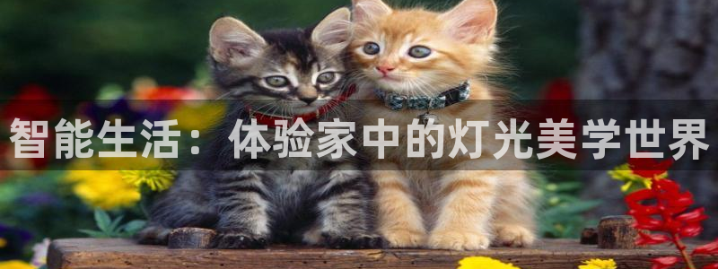 云顶国际商务会所电话