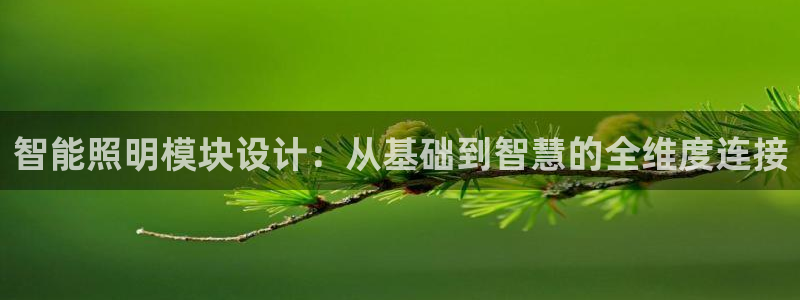 云顶国际pg网站