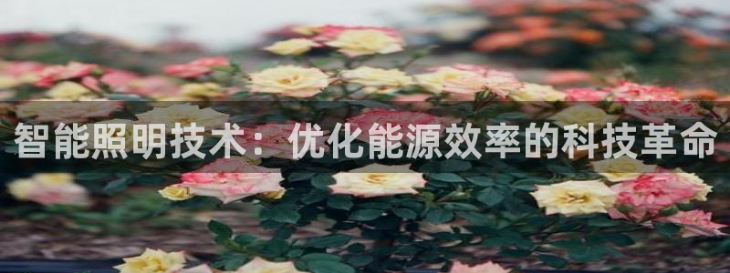 云顶国际酒店电话号码