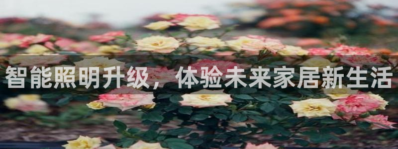 云顶国际商务会所地址