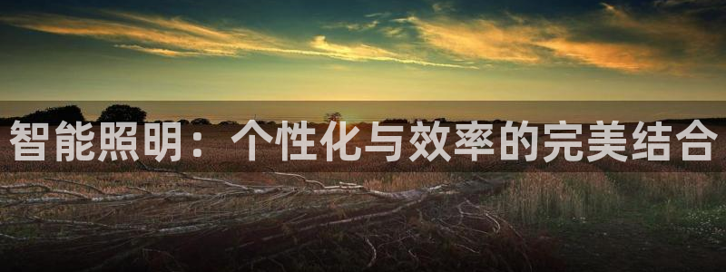 yd云顶集团app下载