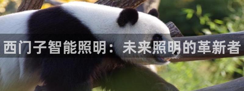 云顶集团董事长林东