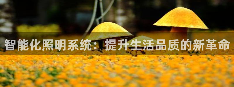 云顶国际app免费下载安装