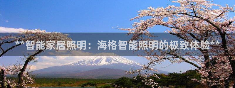 云顶国际服名字不可用