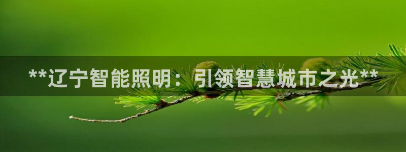 云顶国际服版本