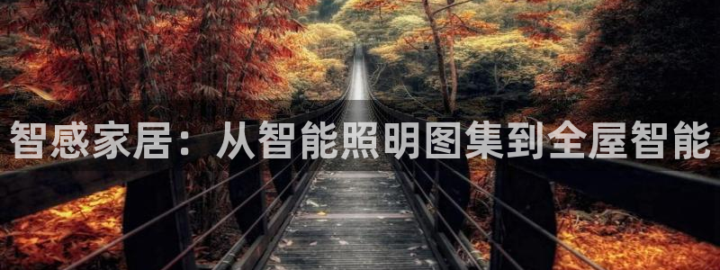 云顶集团官网电话客服